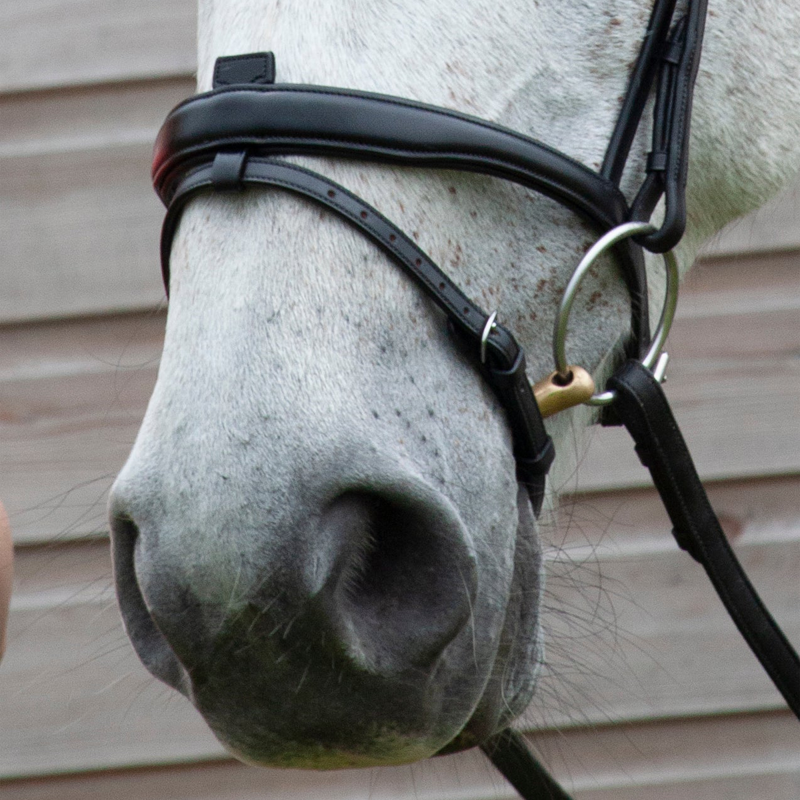 Henry James Flash Bridle - Black-3